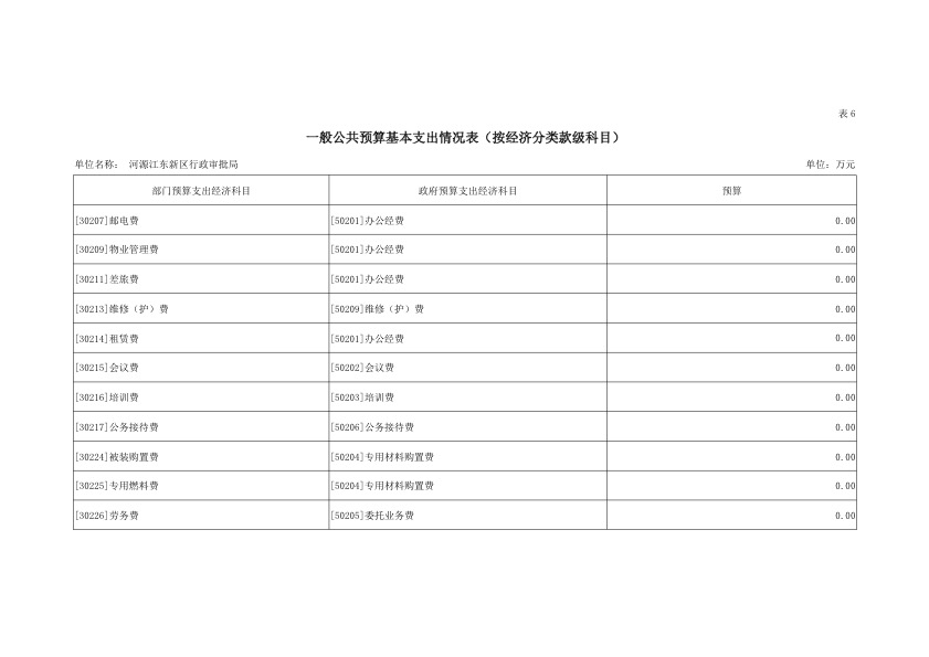 河源江東新區行政審批局2019年部門預算公開報告 21.jpeg