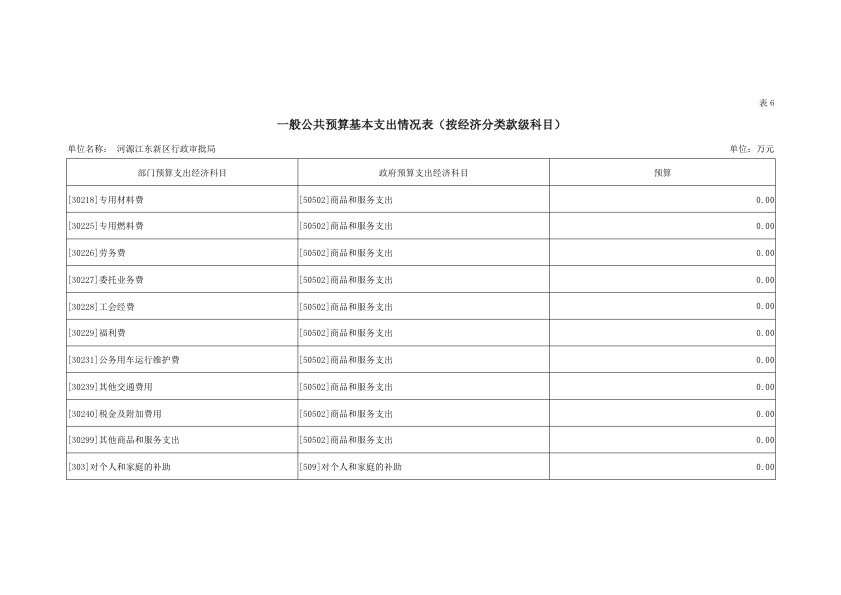 河源江東新區行政審批局2019年部門預算公開報告 24.jpeg