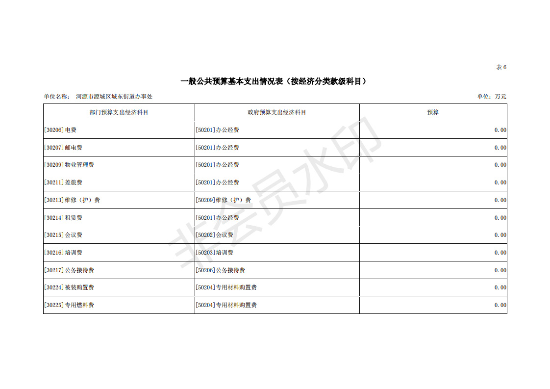 2019年河源江東新區城東街道辦事處部門預算 (1)_26.png