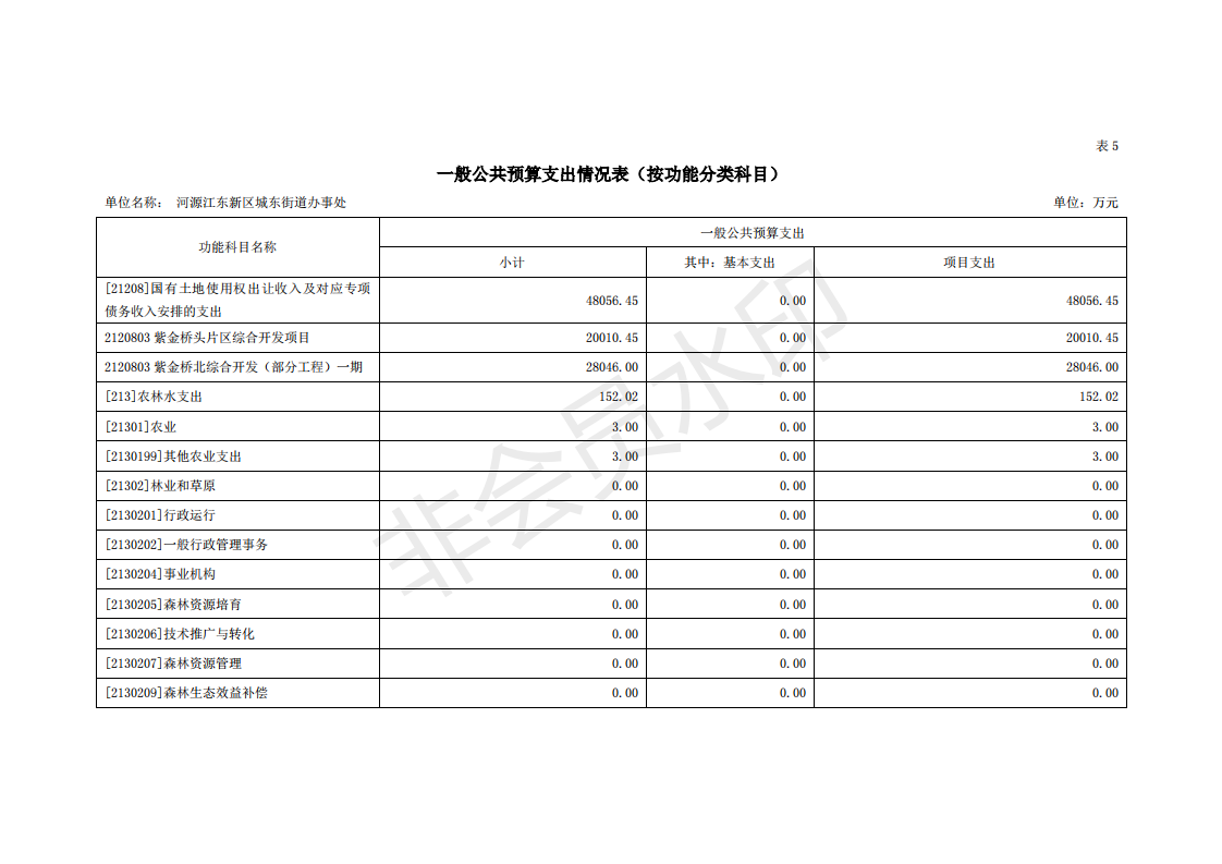 2020年河源江東新區城東街道辦事處部門預算_22.png