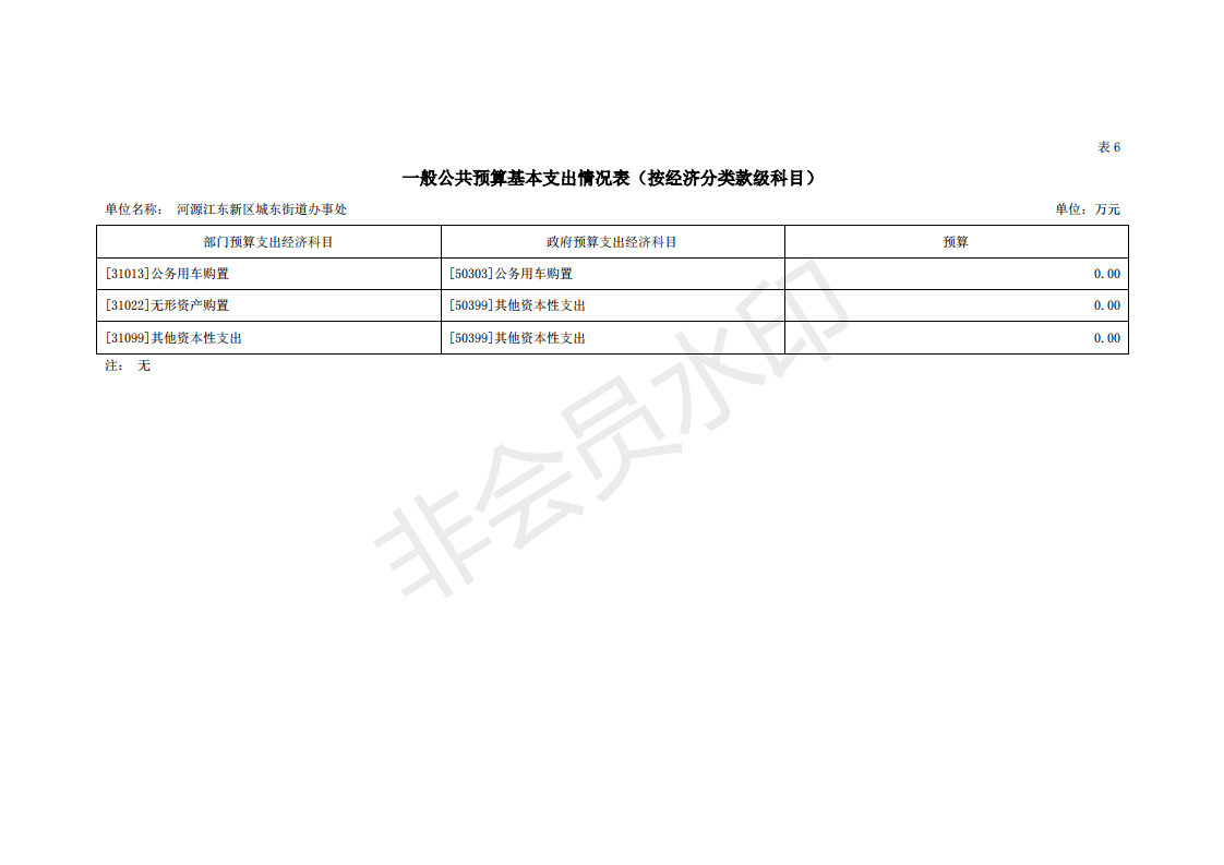 2020年河源江東新區城東街道辦事處部門預算_27.png