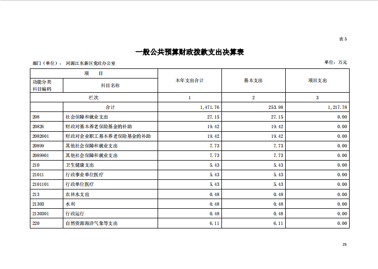 2020年河源江東新區黨政辦公室部門決算—25.png