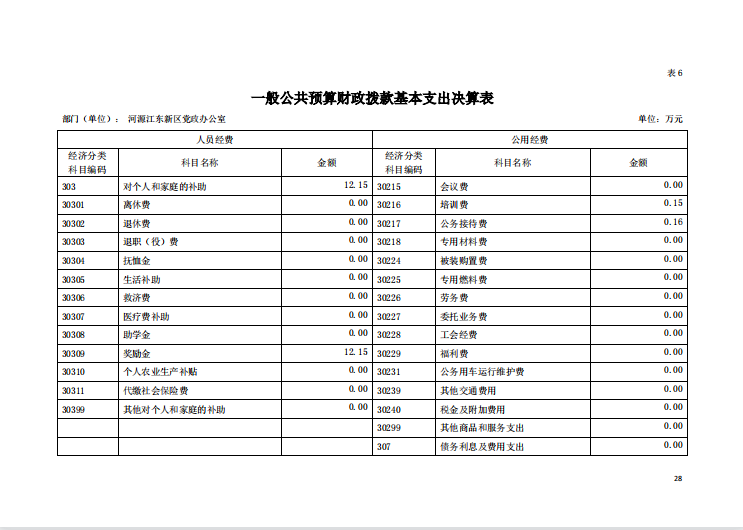 2020年河源江東新區黨政辦公室部門決算—28.png