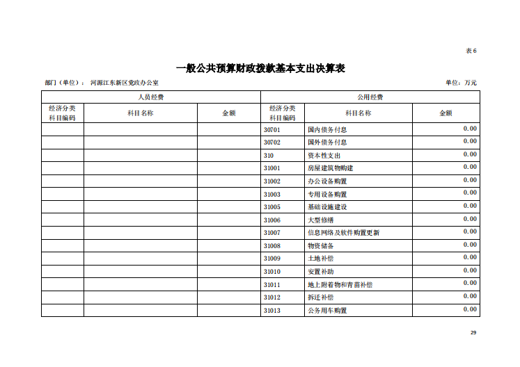 2020年河源江東新區黨政辦公室部門決算—29.png