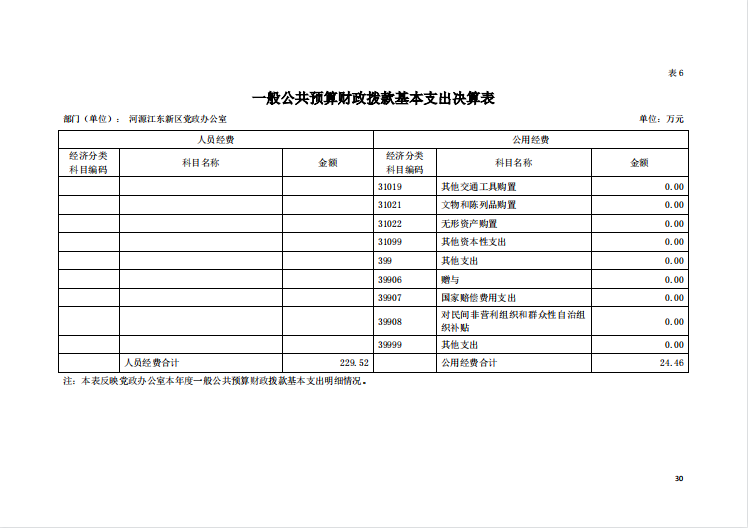 2020年河源江東新區黨政辦公室部門決算—30.png