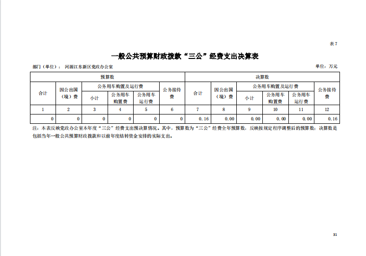 2020年河源江東新區黨政辦公室部門決算—31.png