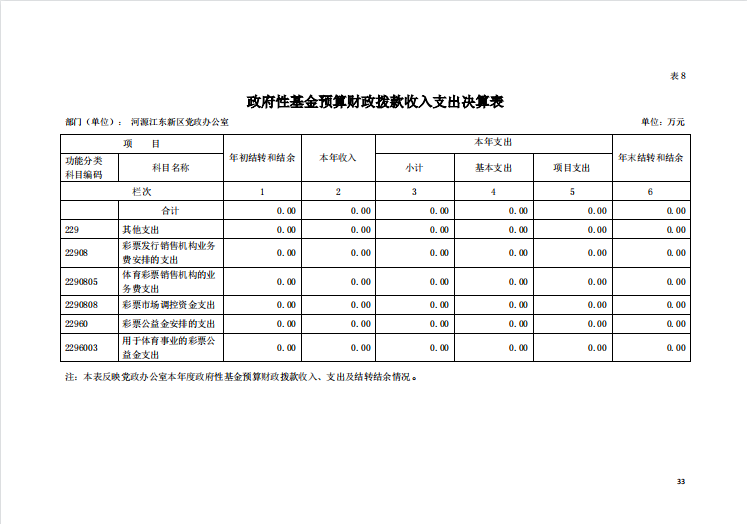 2020年河源江東新區黨政辦公室部門決算—33.png