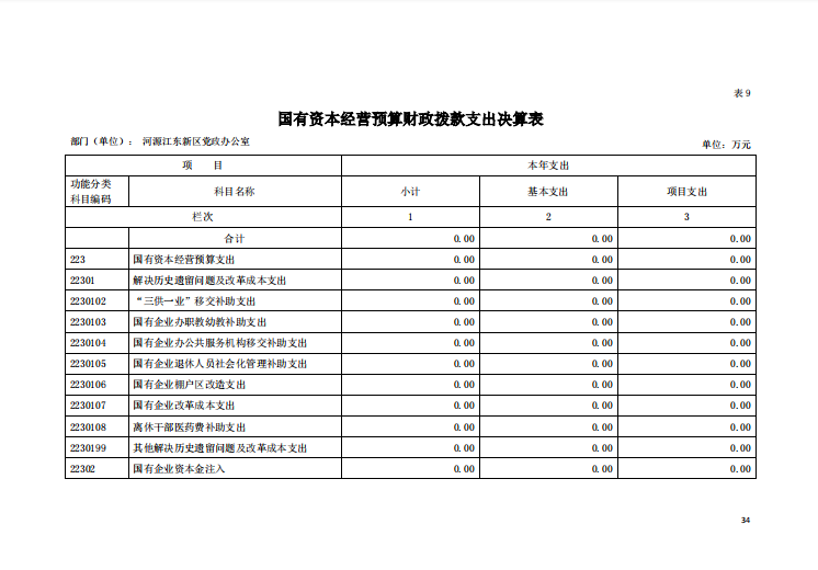 2020年河源江東新區黨政辦公室部門決算—34.png