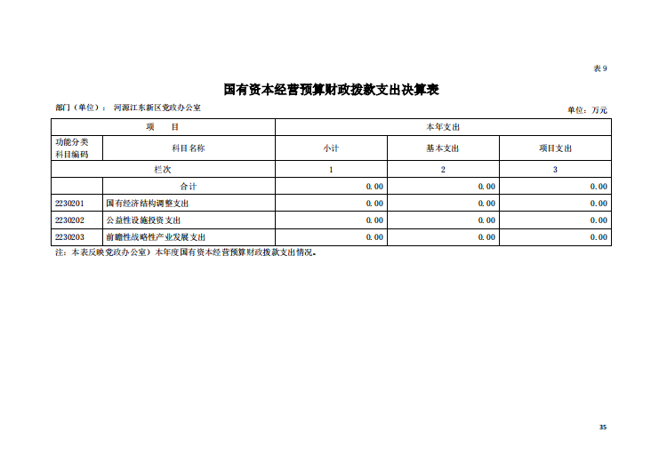 2020年河源江東新區黨政辦公室部門決算—35.png