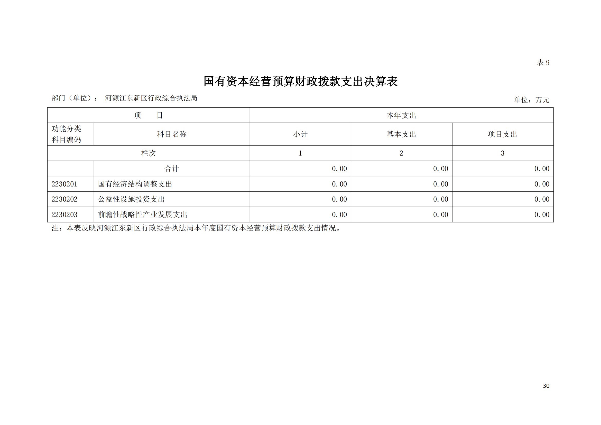 2020年河源江東新區行政綜合執法局部門決算公開數據填報模板(1)_29.png